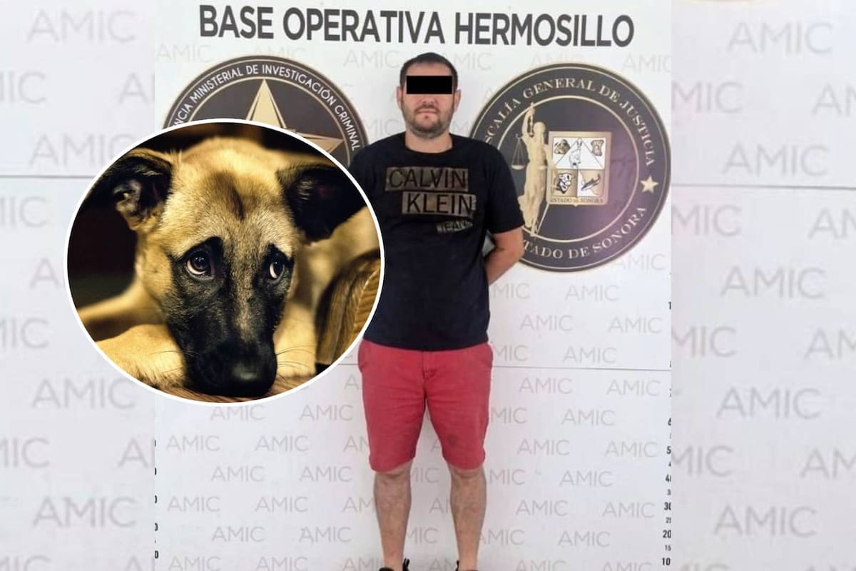 Mata al perro ‘Cuco’ porque “lo tenía harto”, amenazó con matar más animales pero lo vinculan a proceso