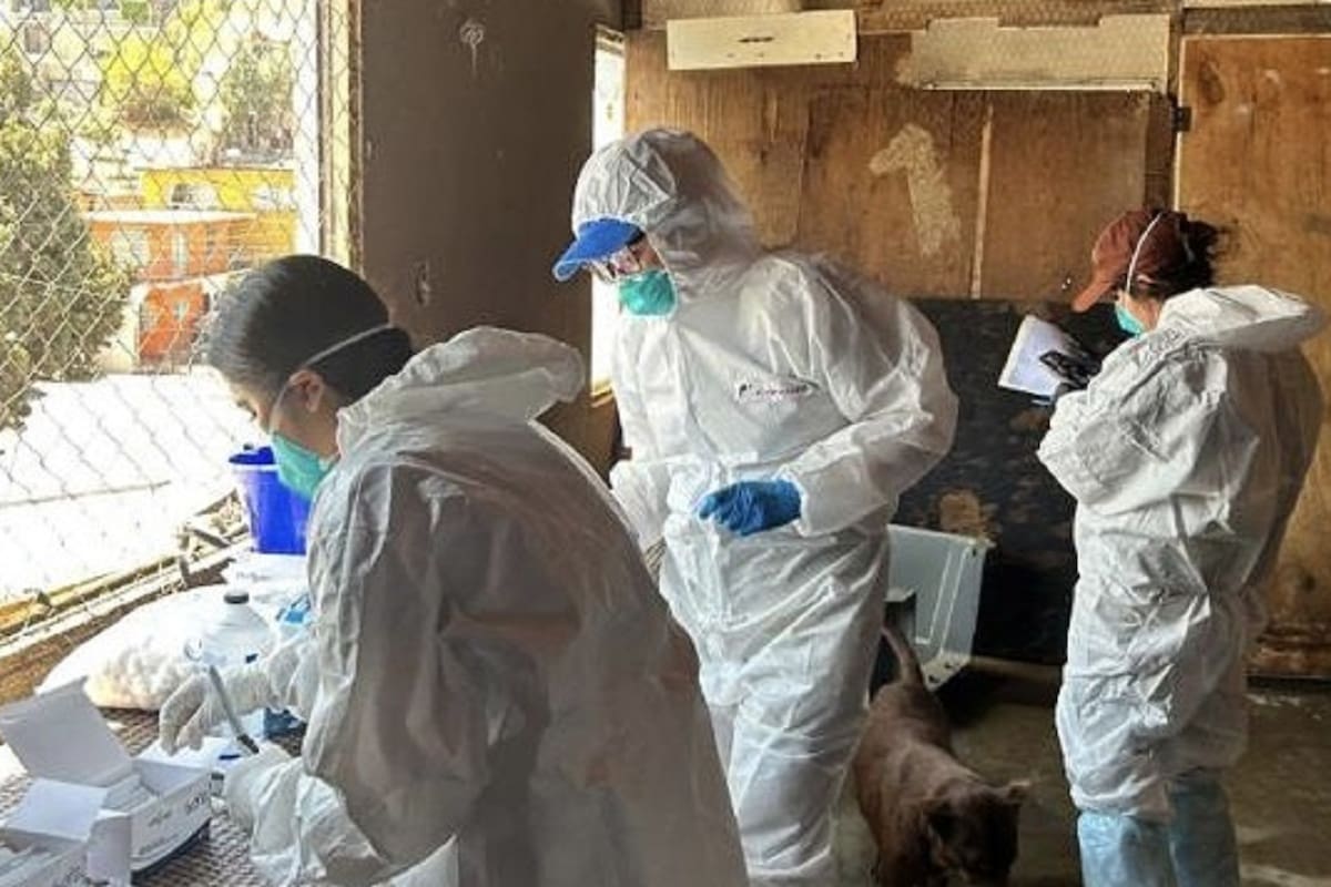 Exigen veterinarios pago de servicios al Ayuntamiento