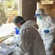 Veterinarios piden pago al Municipio  de Ensenada