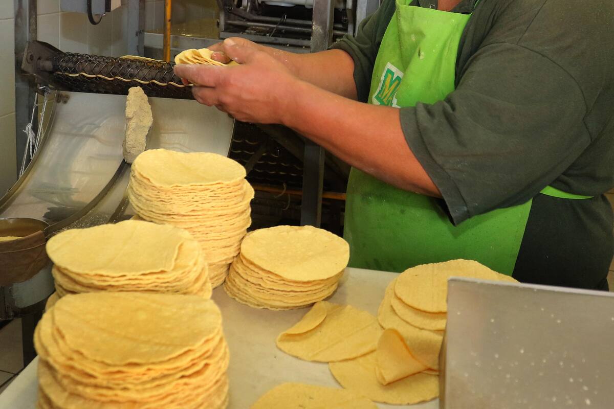 Advierten sanción para tortilleros que suban precio
