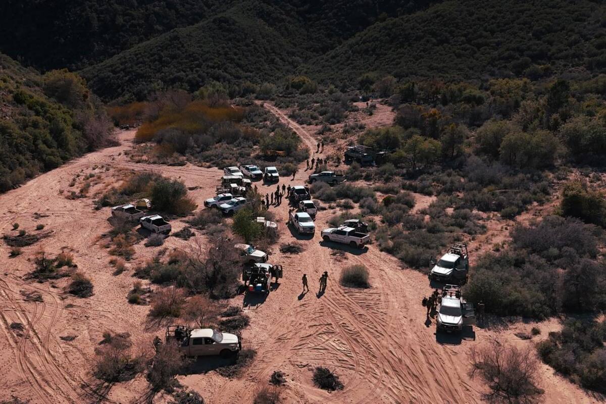 Localizan laboratorio clandestino de metanfetamina en la sierra de San Pedro Mártir