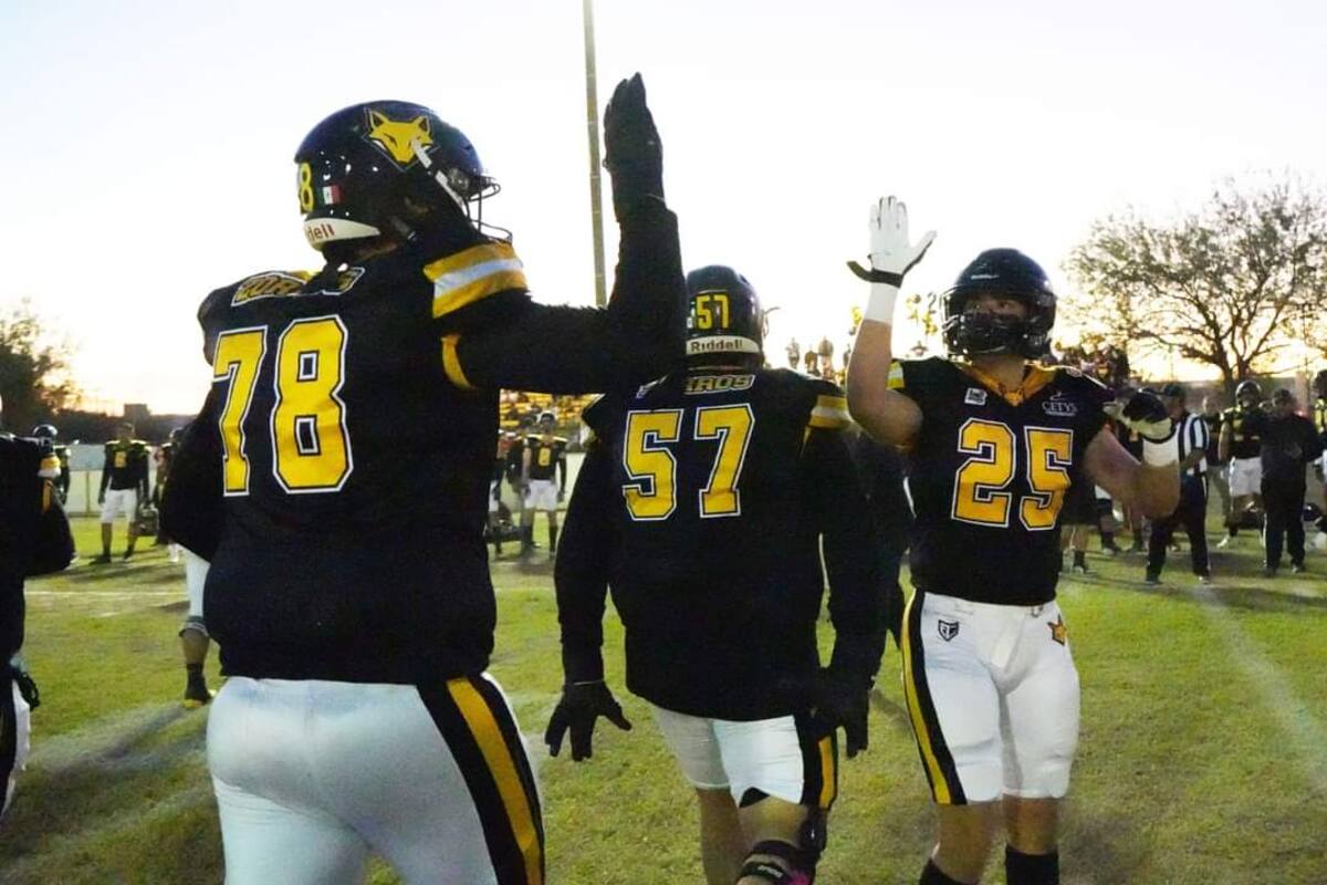 Zorros avanzó a “semis” en ONEFA