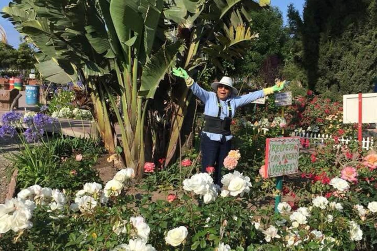 Conchita Cantú denuncia intento de apropiación de parque en Rosarito