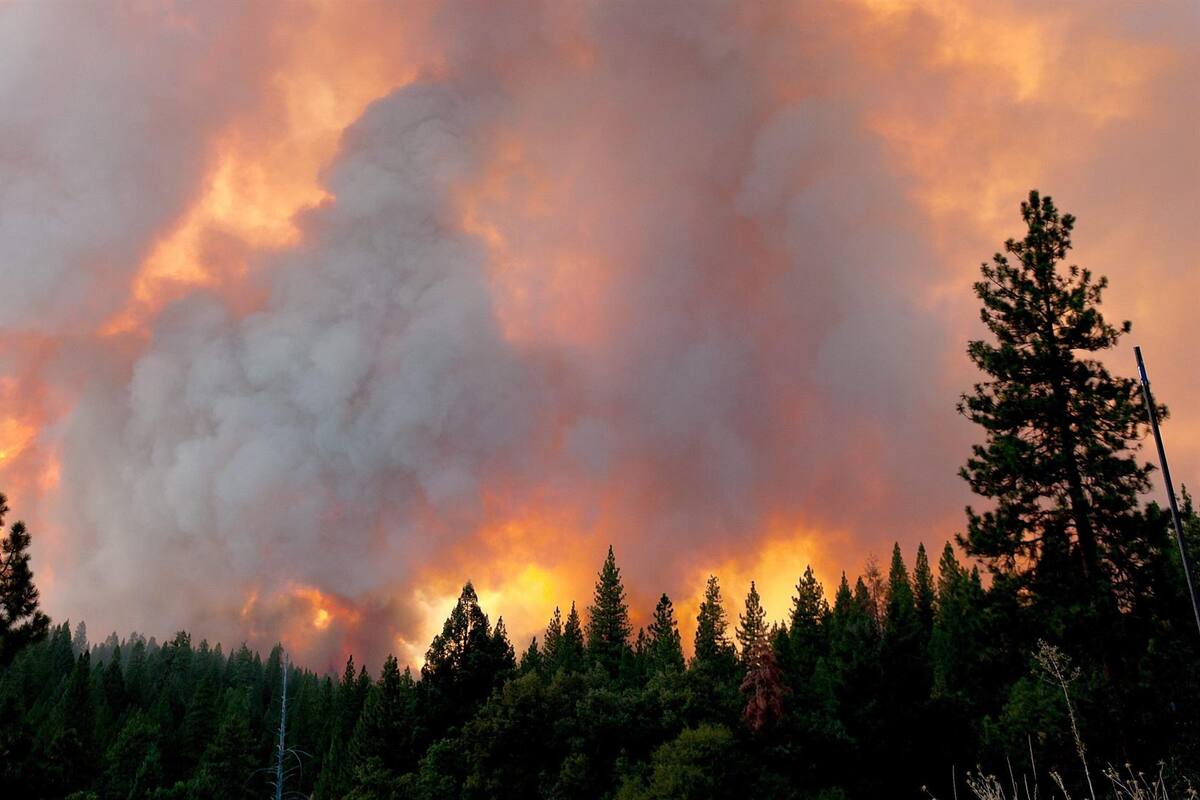 Incendios en California: Desalojan a más de 400 personas