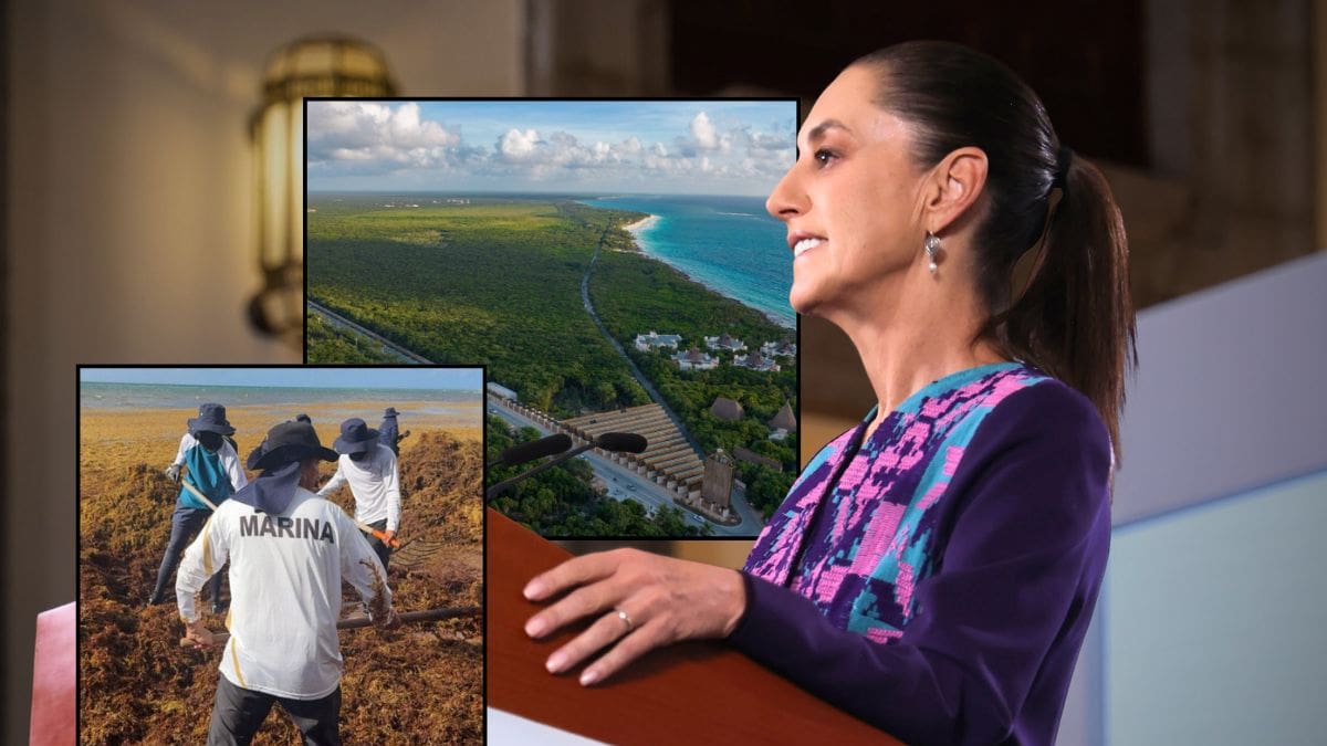 Luego de las quejas de hoteleros, comerciantes y promotores turísticos por los cobros y accesos del Parque del Jaguar y el aumento del sargazo en las playas, Sheinbaum viajará a Tulum para revisar la situación y anunciar una estrategia integral