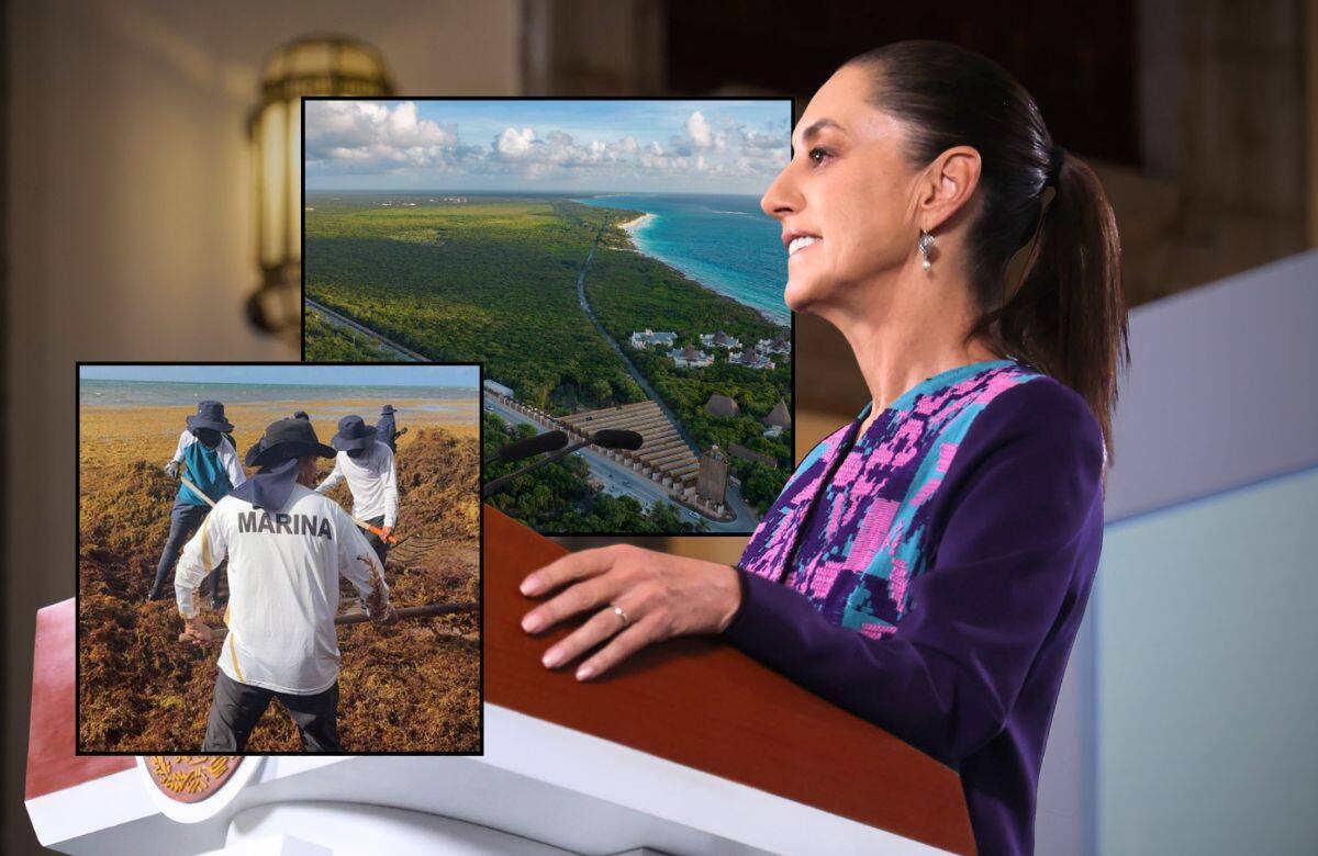 Claudia Sheinbaum visitará Tulum para escuchar las quejas por los cobros y accesos al Parque del Jaguar, además de revisar las zonas afectadas por el sargazo. | Foto: Presidencia