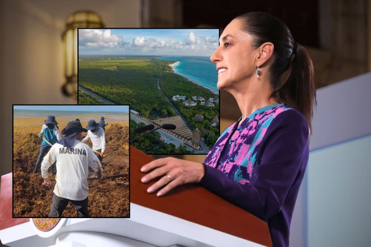 Luego de las quejas de hoteleros, comerciantes y promotores turísticos por los cobros y accesos del Parque del Jaguar y el aumento del sargazo en las playas, Sheinbaum viajará a Tulum para revisar la situación y anunciar una estrategia integral