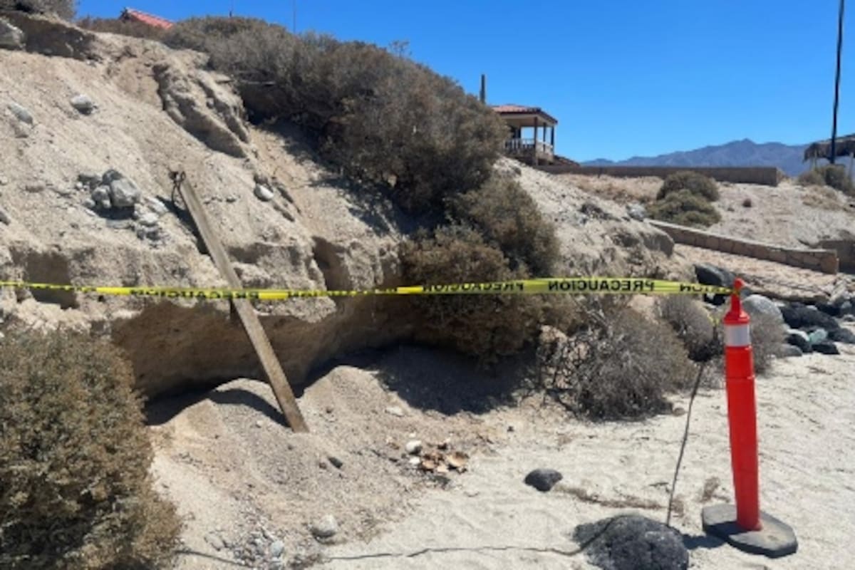 Extranjeros encuetran restos óseos en San Quintín