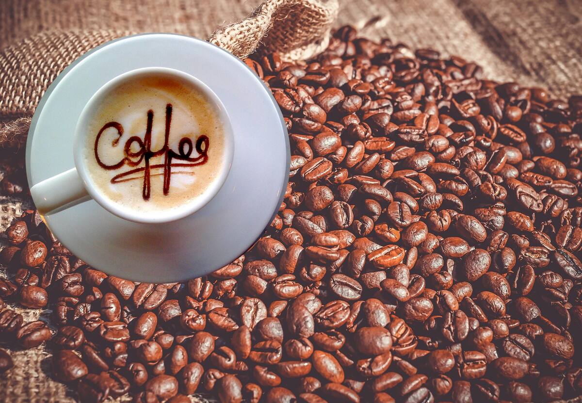 El café es una de las bebidas favoritas en todo el mundo, pero ¿sabías que este primero de octubre se celebra el Día Internacional del Café? l Foto: Cortesía