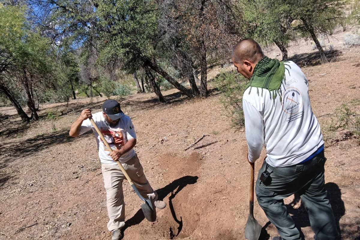 Colectivo encuentra osamentas y cuerpos en avanzado estado de descomposición en Nogales