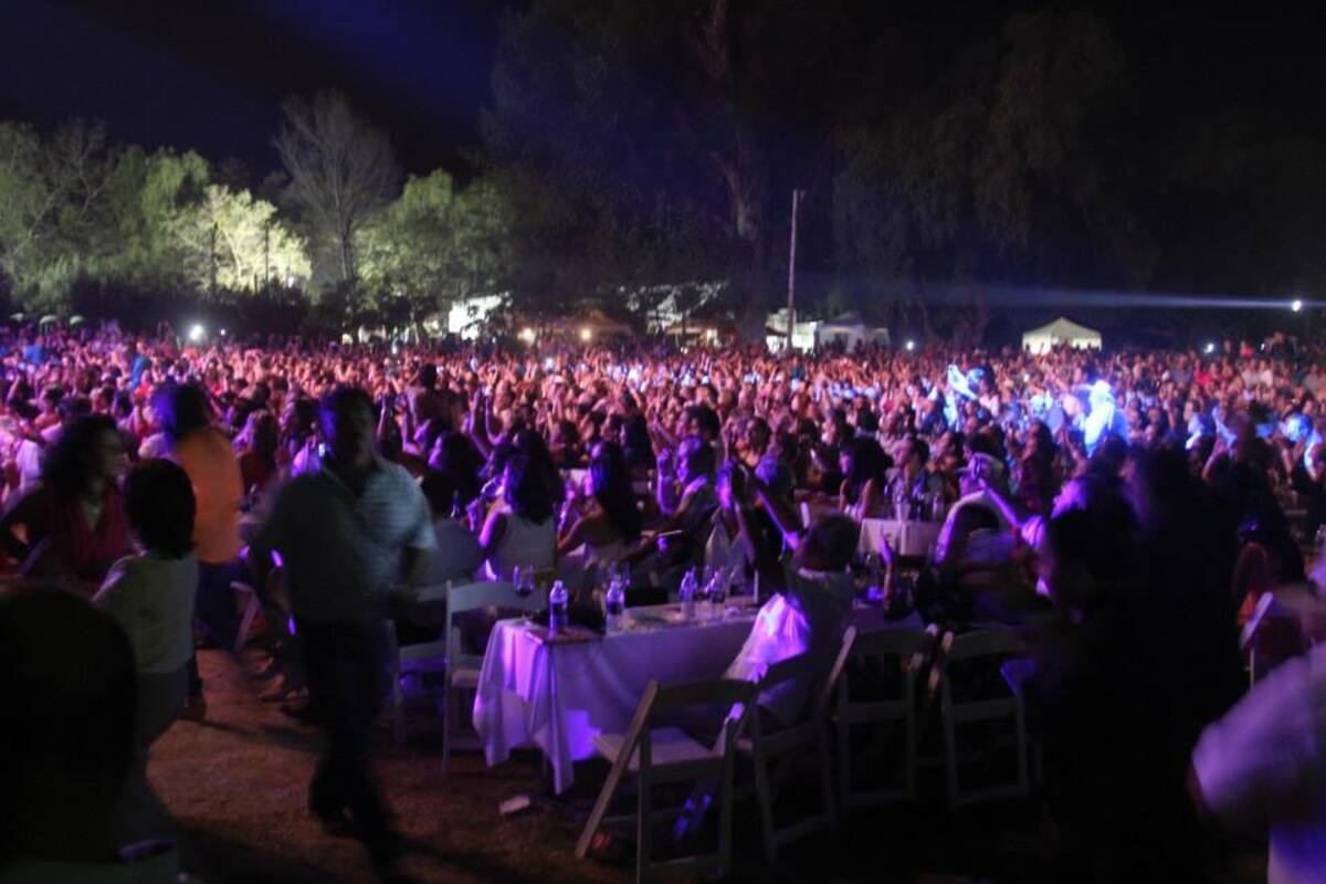 Conciertos podrían reactivar el turismo en el Valle de Guadalupe