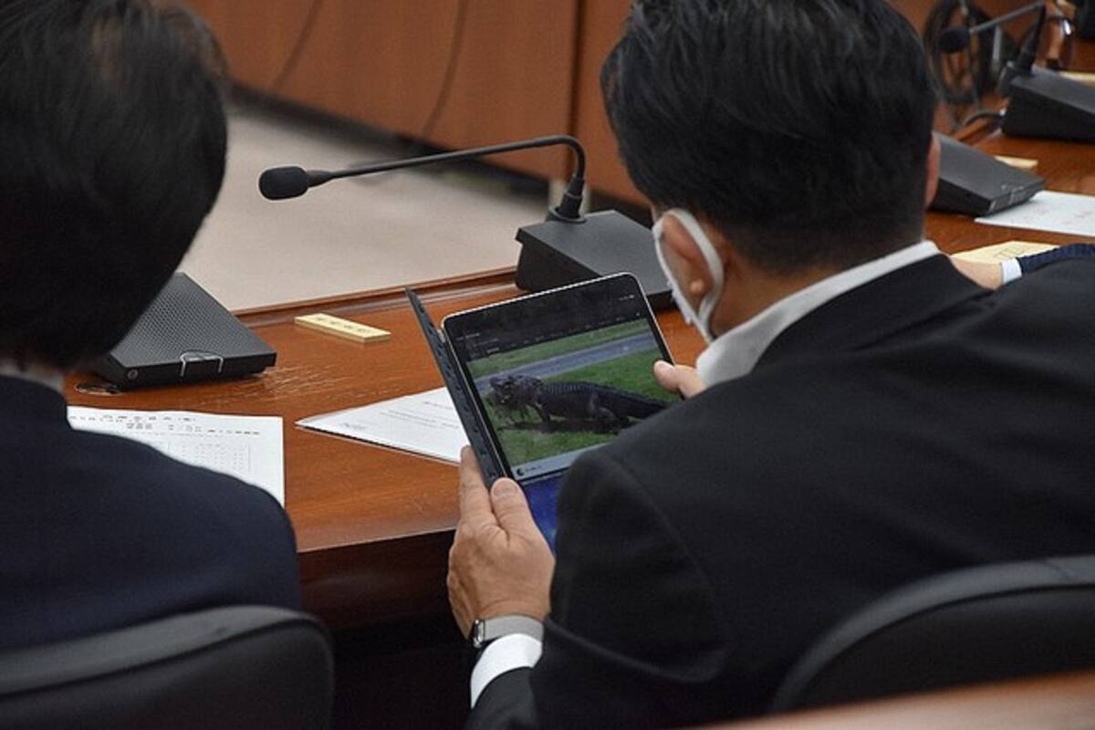 Diputado japonés fue sorprendido viendo un video de cocodrilos en plena sesión; pidió disculpas públicas al pueblo de Japón
