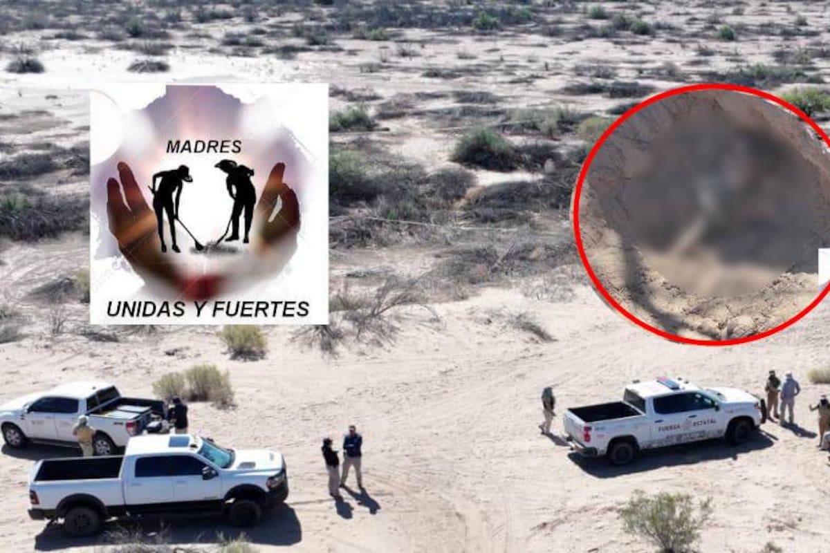 Localizan nueva fosa clandestina en el Miguel Alemán; suman 23