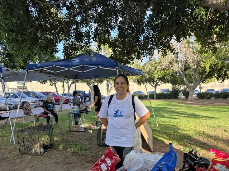 SLRC: Rescate de Angelitos Callejeros enfrenta sobrecupo: 150 mascotas esperan un hogar