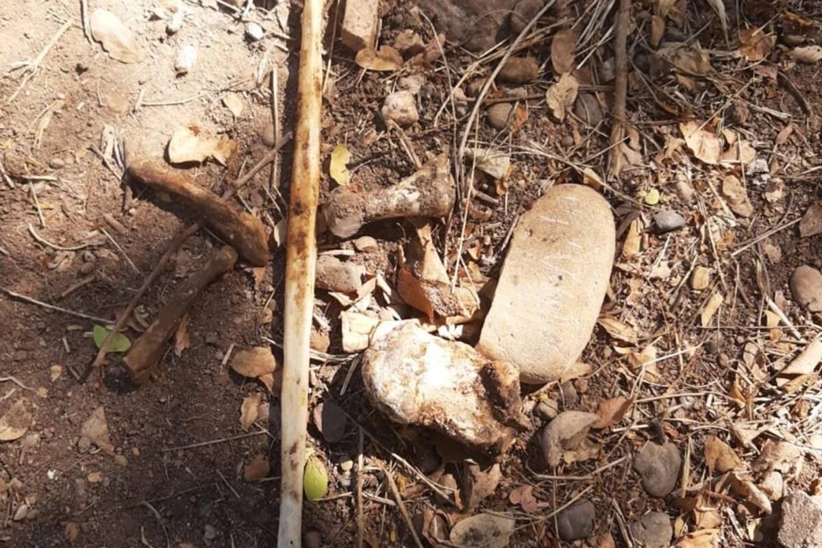 Ahuyentan con disparos a madres rastreadores al buscar fosas en Sinaloa