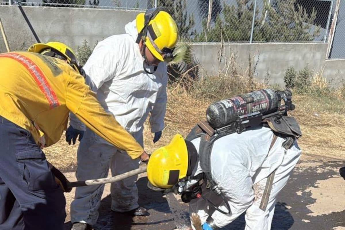 Rescatan bomberos a perrito en San Antonio de las Minas