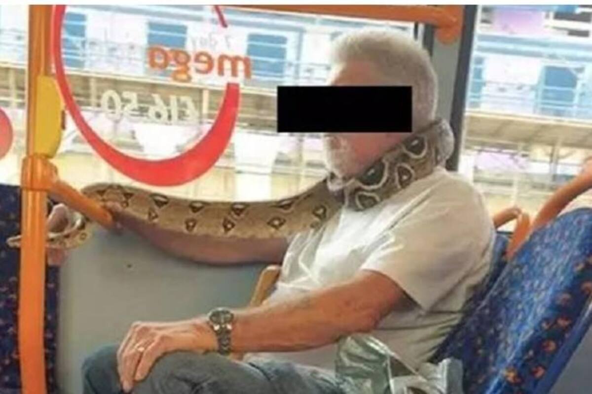 Hombre usa como bufanda a una serpiente