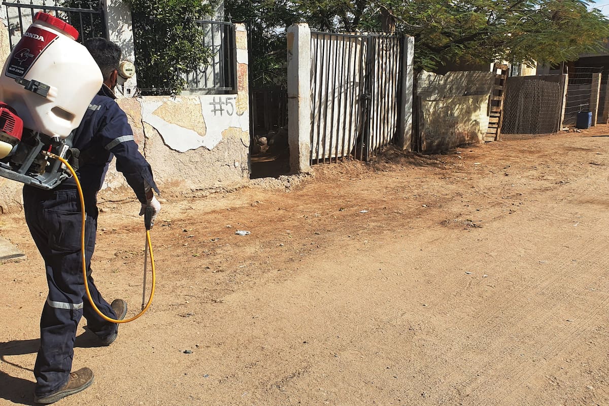 Intensifican labores de fumigación contra el dengue