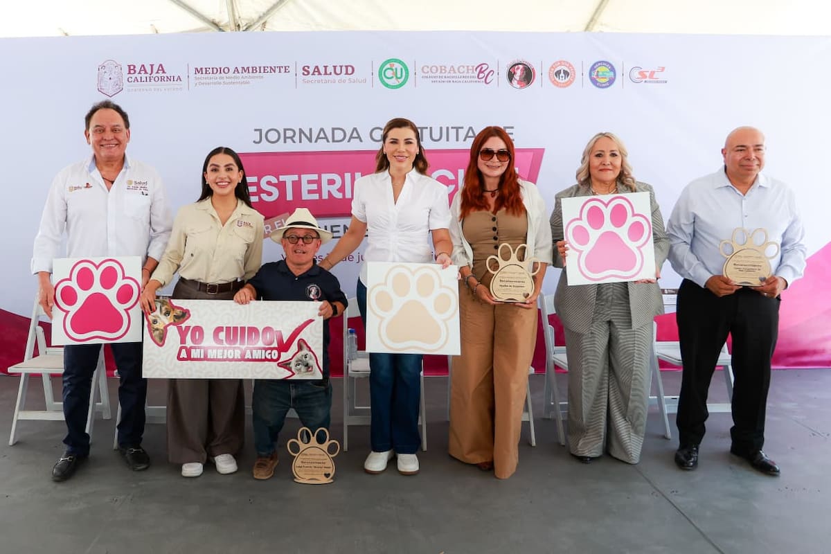 Ofrecen jornadas gratuitas de esterilización y vacunación para perros y gatos en Baja California