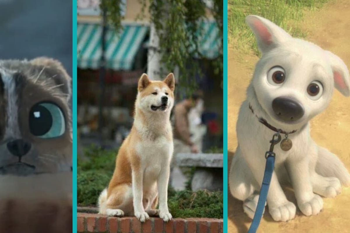 Estas son las historias más tristes de perritos callejeros en el cine y la televisión
