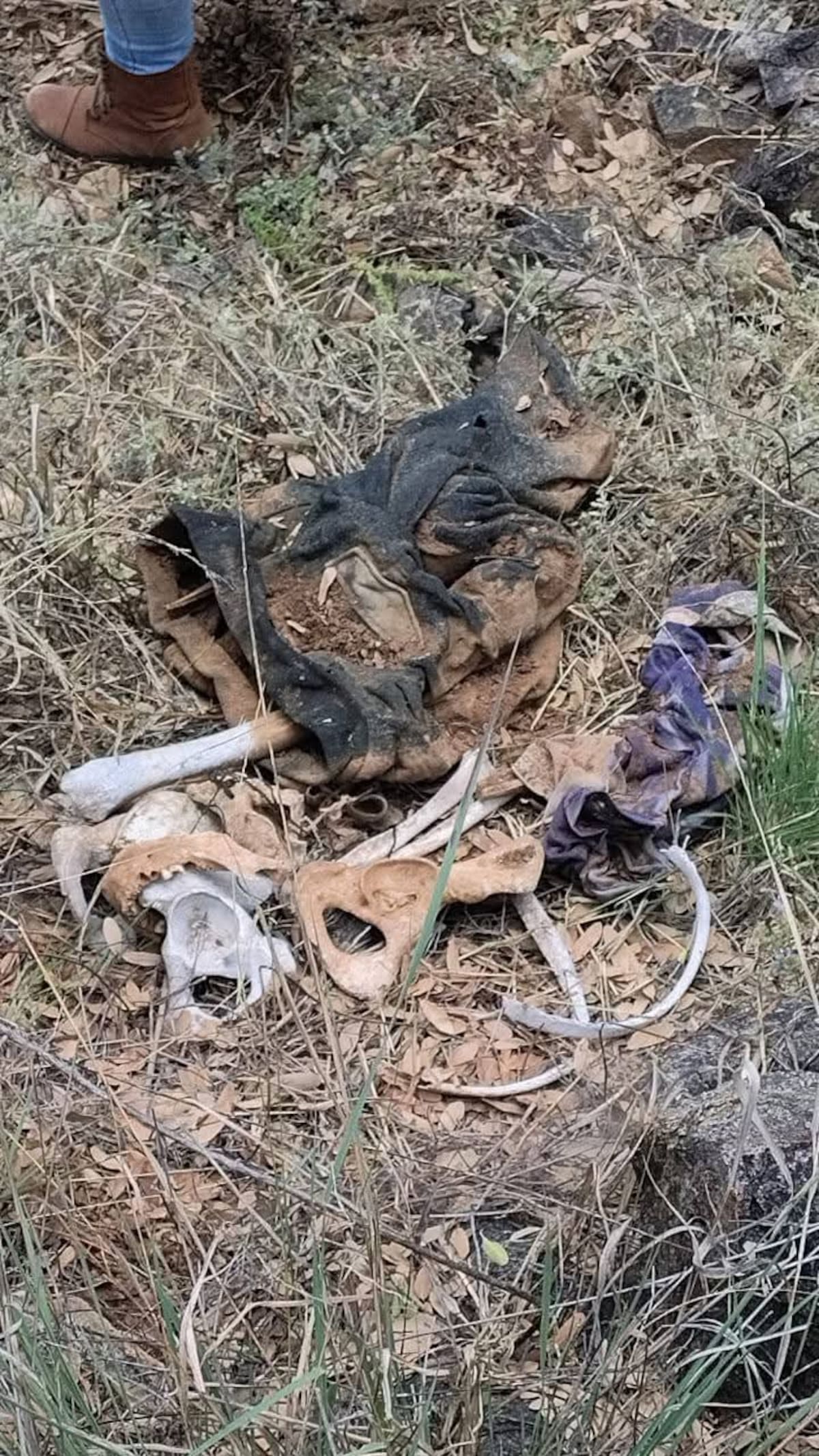 Foto: Manuel Jiménez.