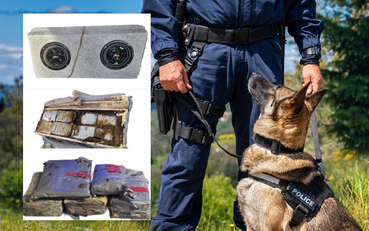 Foto: Canva/Manuel Jiménez.