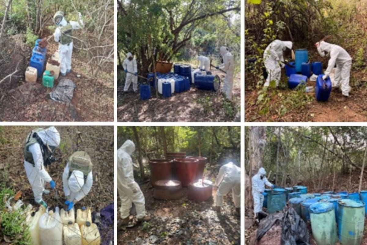 Ejército y autoridades desmantelan 15 bodegas con miles de litros de químicos peligrosos usados para drogas en Sinaloa