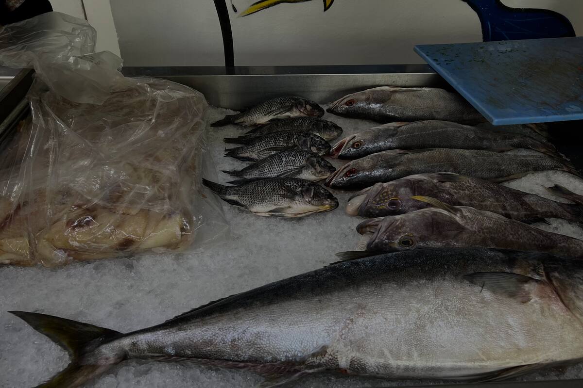 Esperan pescaderías tener buenas ventas por cuaresma