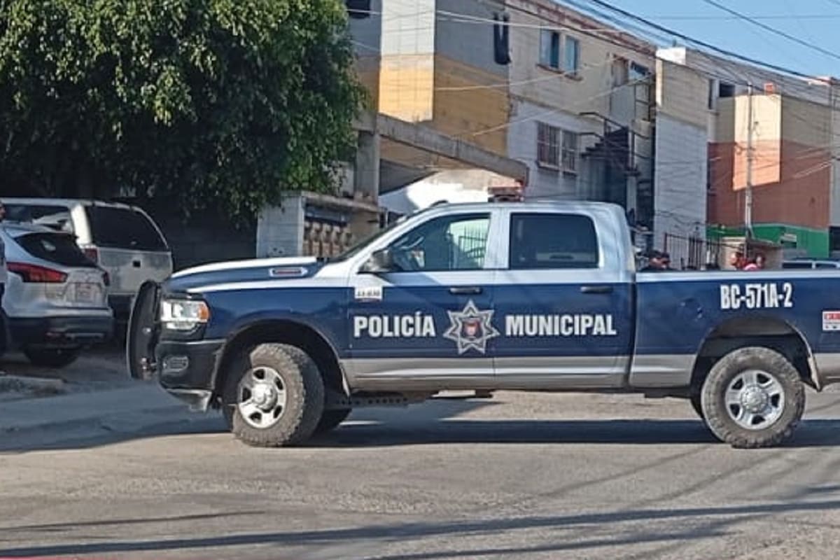 Aseguran a más de 200 personas por distintos delitos en una semana