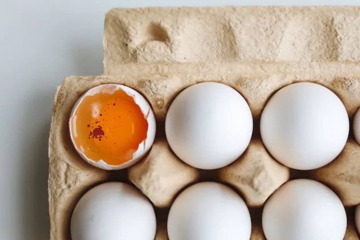Mancha de sangre en yema de un huevo no es motivo de alarma