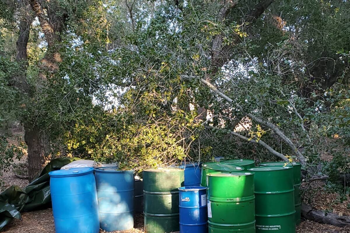 'Revientan' narcolaboratorio en Valle de Guadalupe