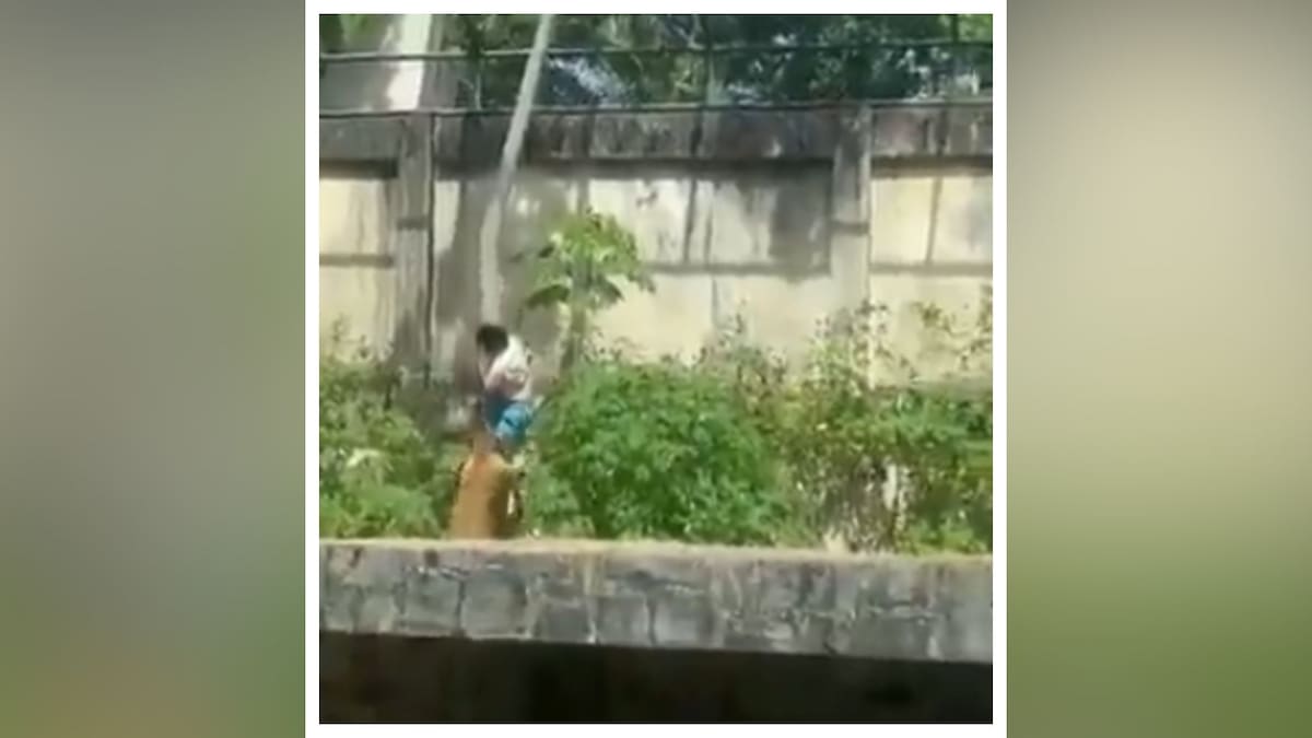 Video: Joven que soñaba con trabajar con animales salvajes muere tras irrumpir en el recinto de una leona en un zoológico de Brasil; su obsesión llegó hasta el punto de subirse al tren de aterrizaje de un avión con la intención de llegar hasta África