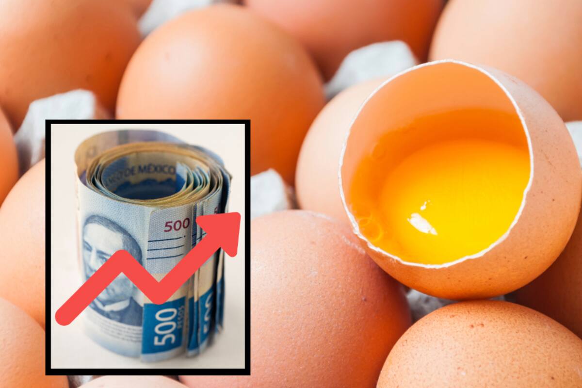 Precio del huevo aumentó 19% por influenza aviar en Estados Unidos; llegaron a casi 59 pesos el kilo