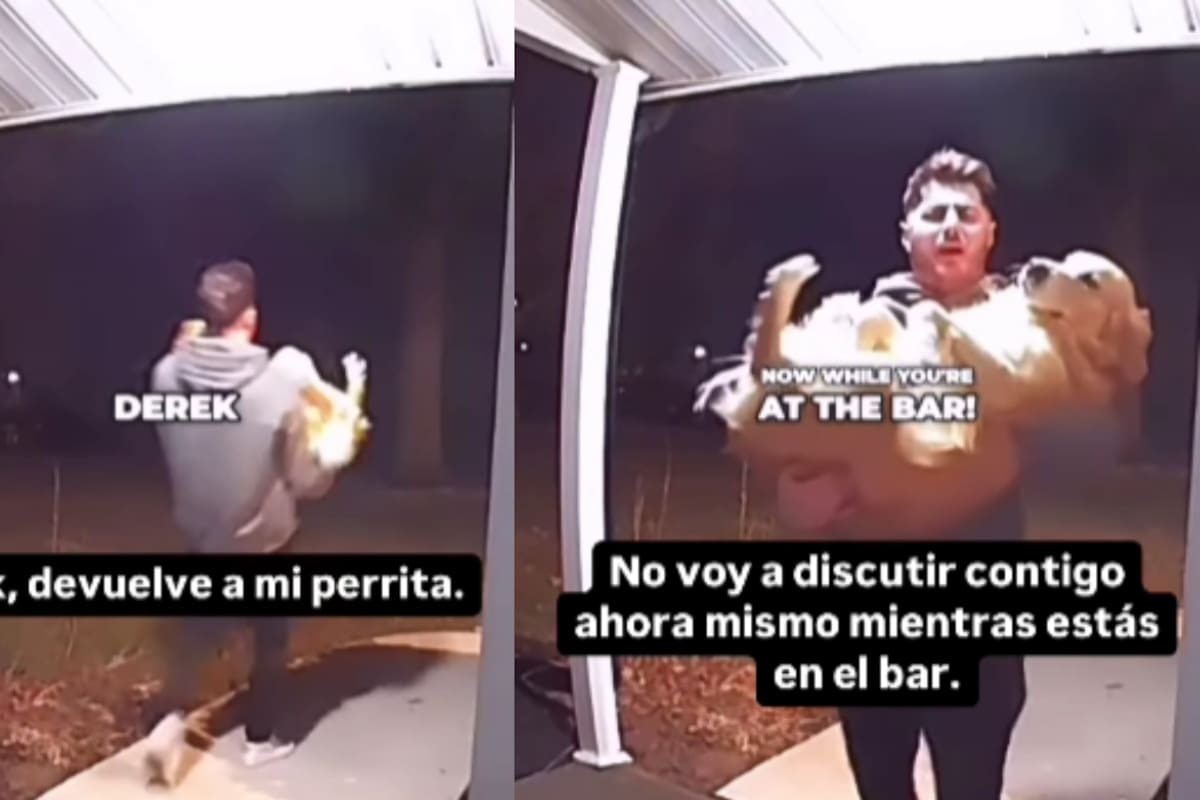 “Ahora mismo estás en el bar”: hombre enfrenta a su amigo por llevarse a su perra, alegando que la deja encerrada todo el día