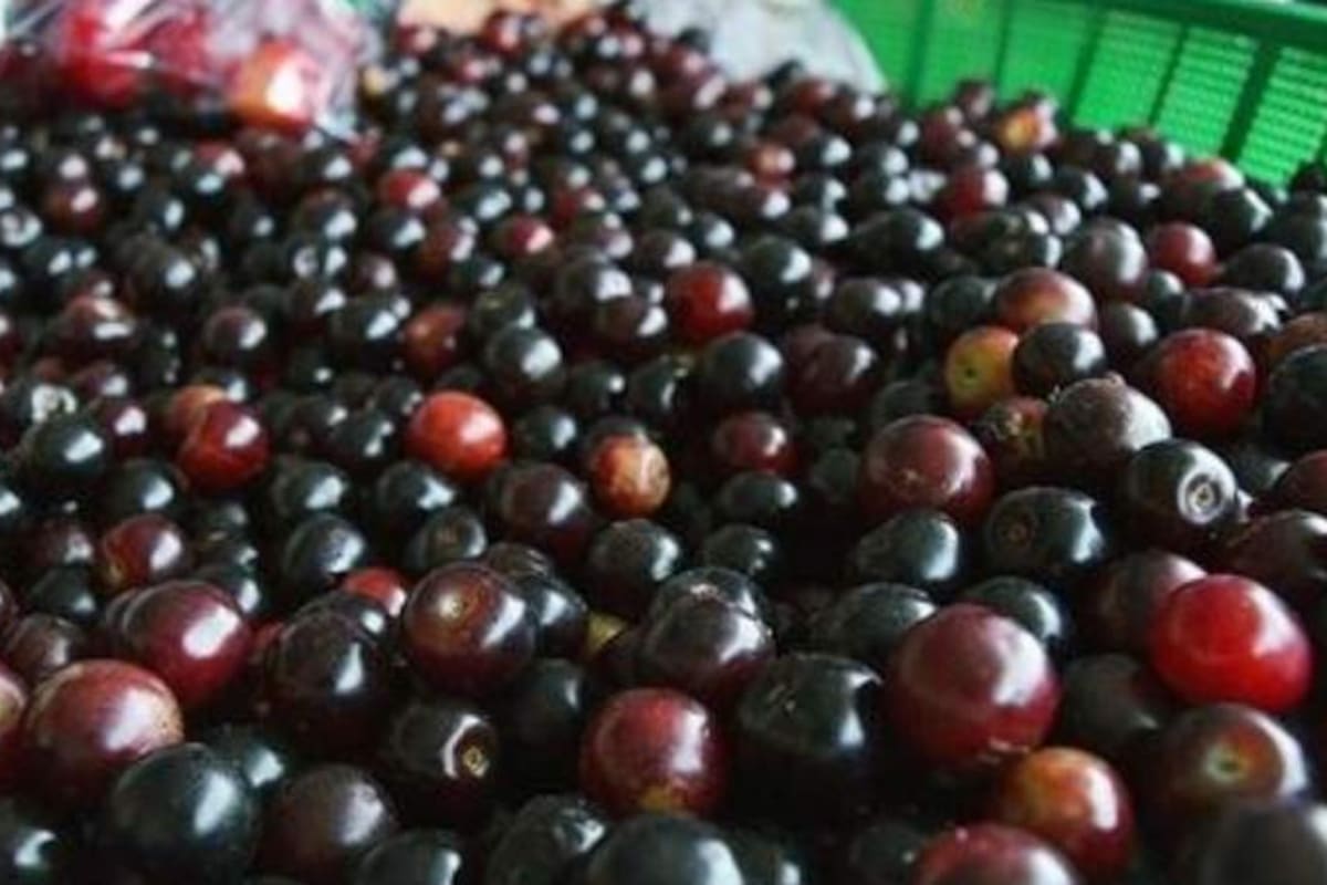 Propiedades, usos y beneficios de consumir capulines