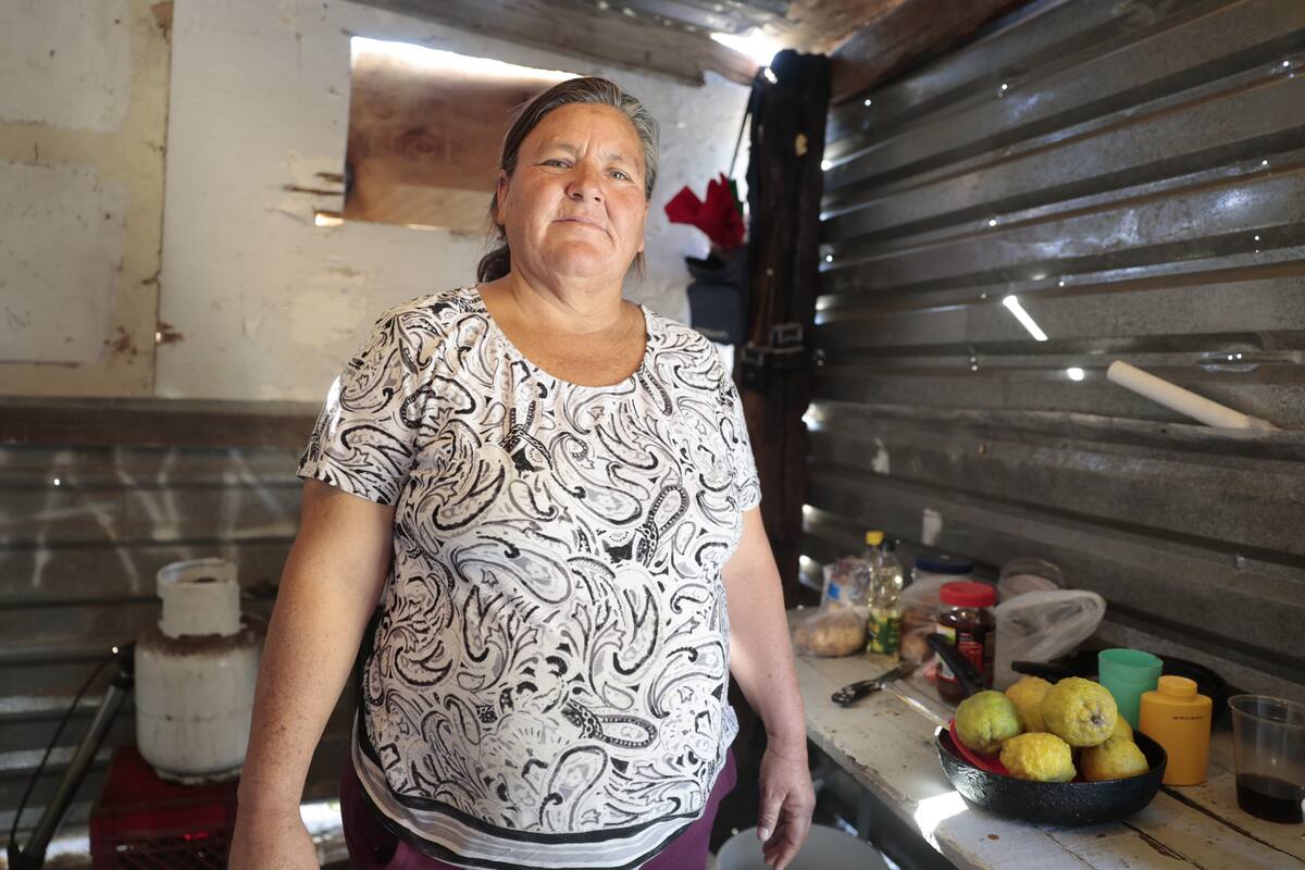 Adriana necesita despensa y pañales