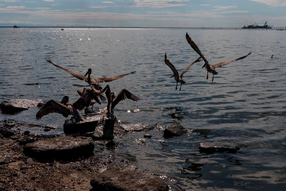 Riesgo ambiental por derrame de petróleo en costas de Venezuela