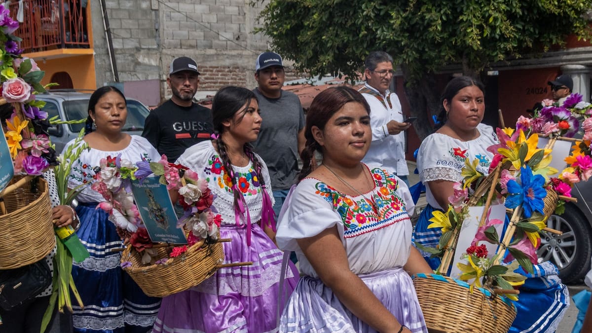 Es necesaria inclusión política de pueblos indígenas en reforma electoral, advierte especialista