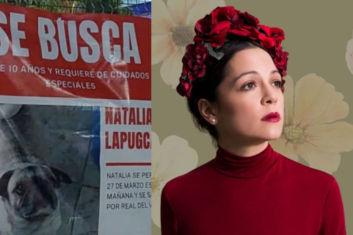 Natalia Lapuggade: la pug perdida que conquistó las redes con su cartel de búsqueda