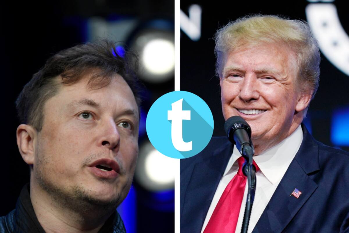 Personas suspendidas en Twitter no podrán volver a la red social hasta el momento, dice Elon Musk