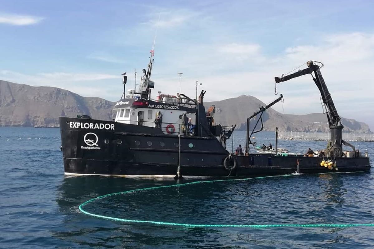 Familiares no pierden la esperanza de recuperar cuerpos de buque hundido