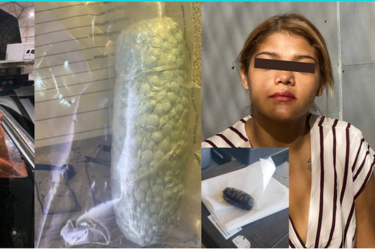 Capturan a mujeres utilizando su cuerpo para ocultar peligrosa droga
