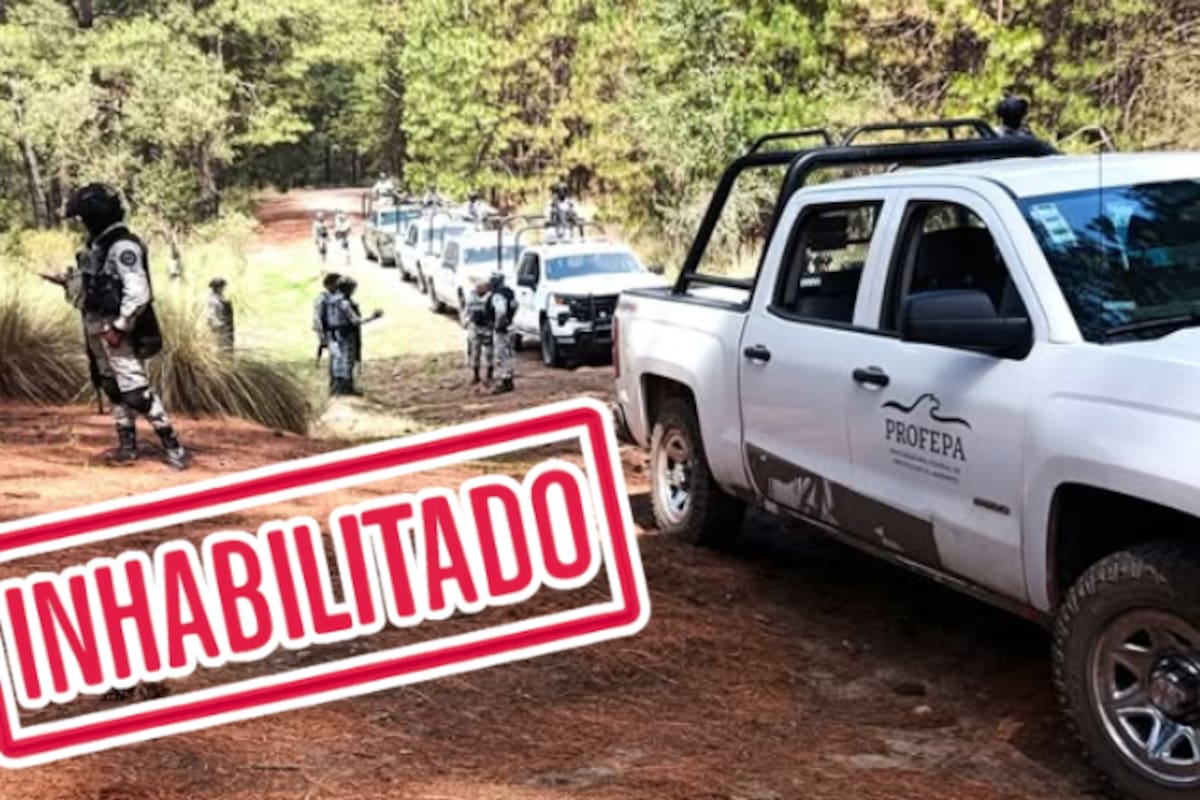 Profepa inhabilita 5 hornos ilegales de carbón vegetal en Tlaxcala