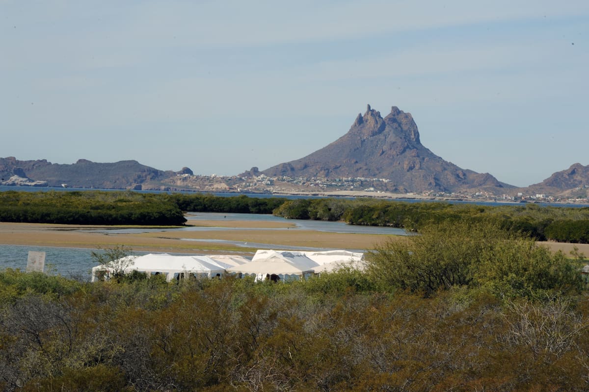 Estero El Soldado permanecerá cerrado en Semana Santa; piden no ingresar en vehículos