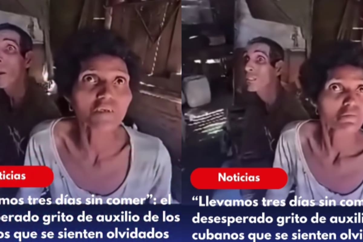 “Tenían 3 días sin comer, con la mirada perdida y temblando” Impactante video de un grupo de cubanos se vuelve viral y genera conmoción en redes sociales
