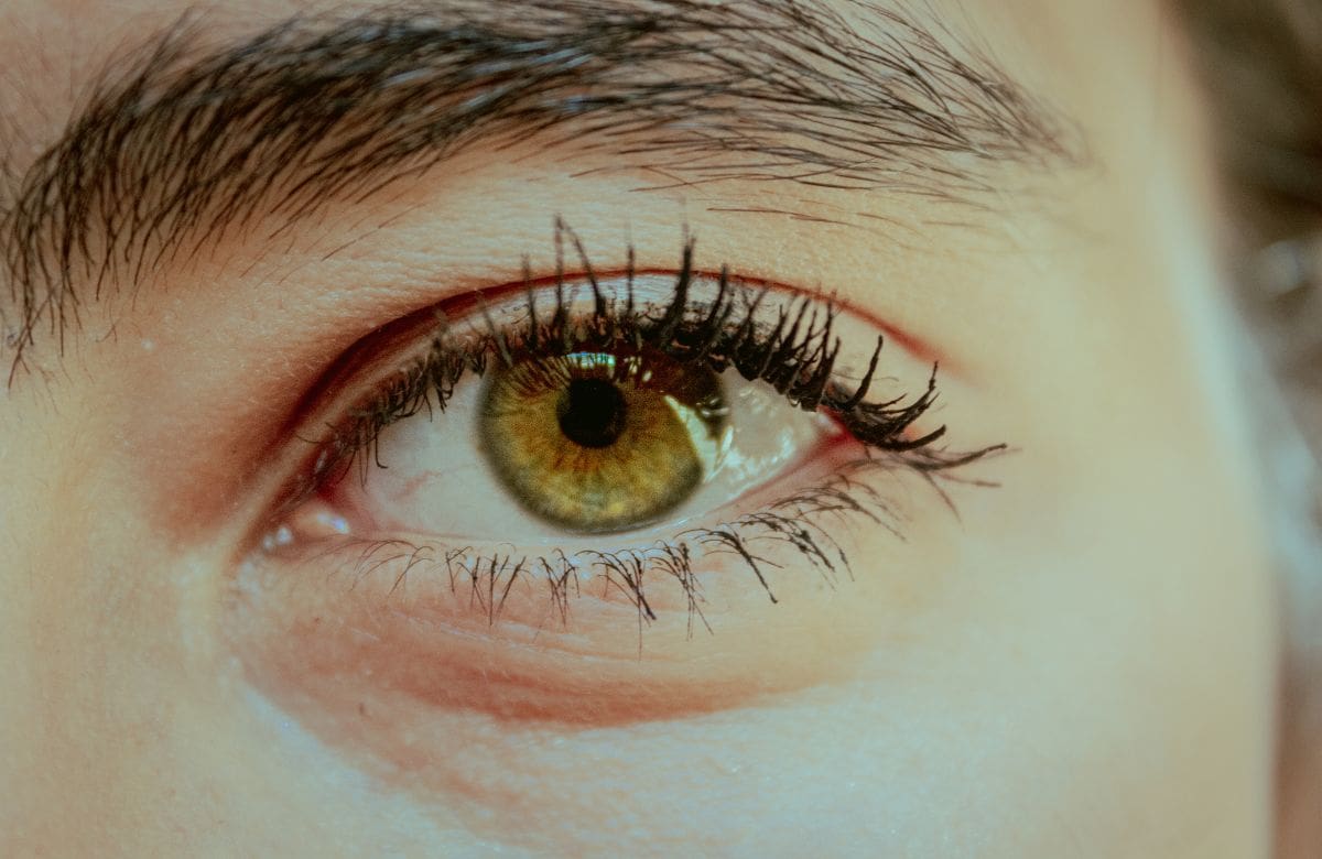 La ciencia revela cómo las pupilas delatan nuestras emociones | Foto: Especial (canva)