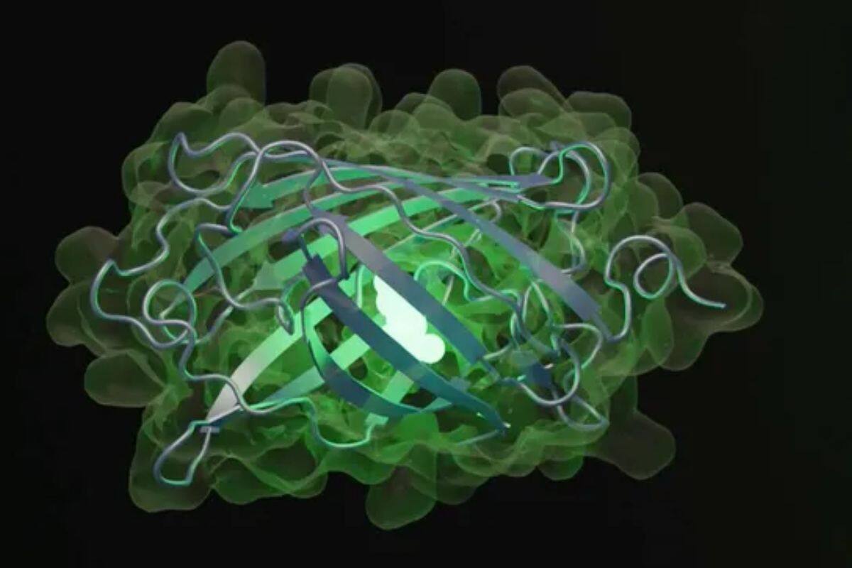 Crean Inteligencia Artificial capaz de inventar proteínas que no existen en la naturaleza
