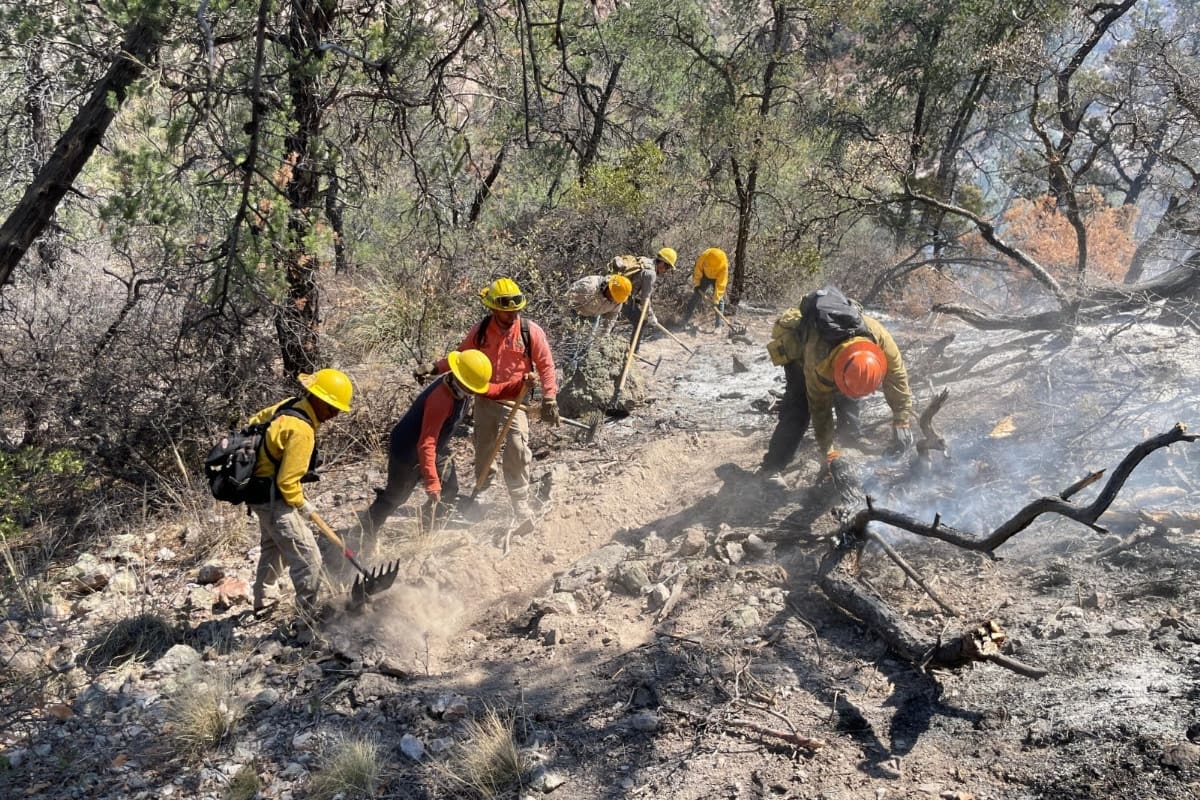 Autoridades refuerzan estrategias ante temporada crítica de incendios forestales en Sonora