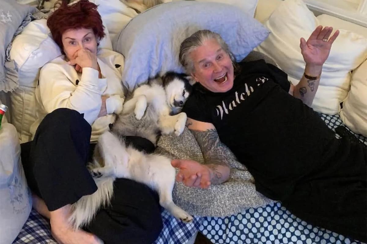 Elvis, el perrito de Ozzy Osbourne.