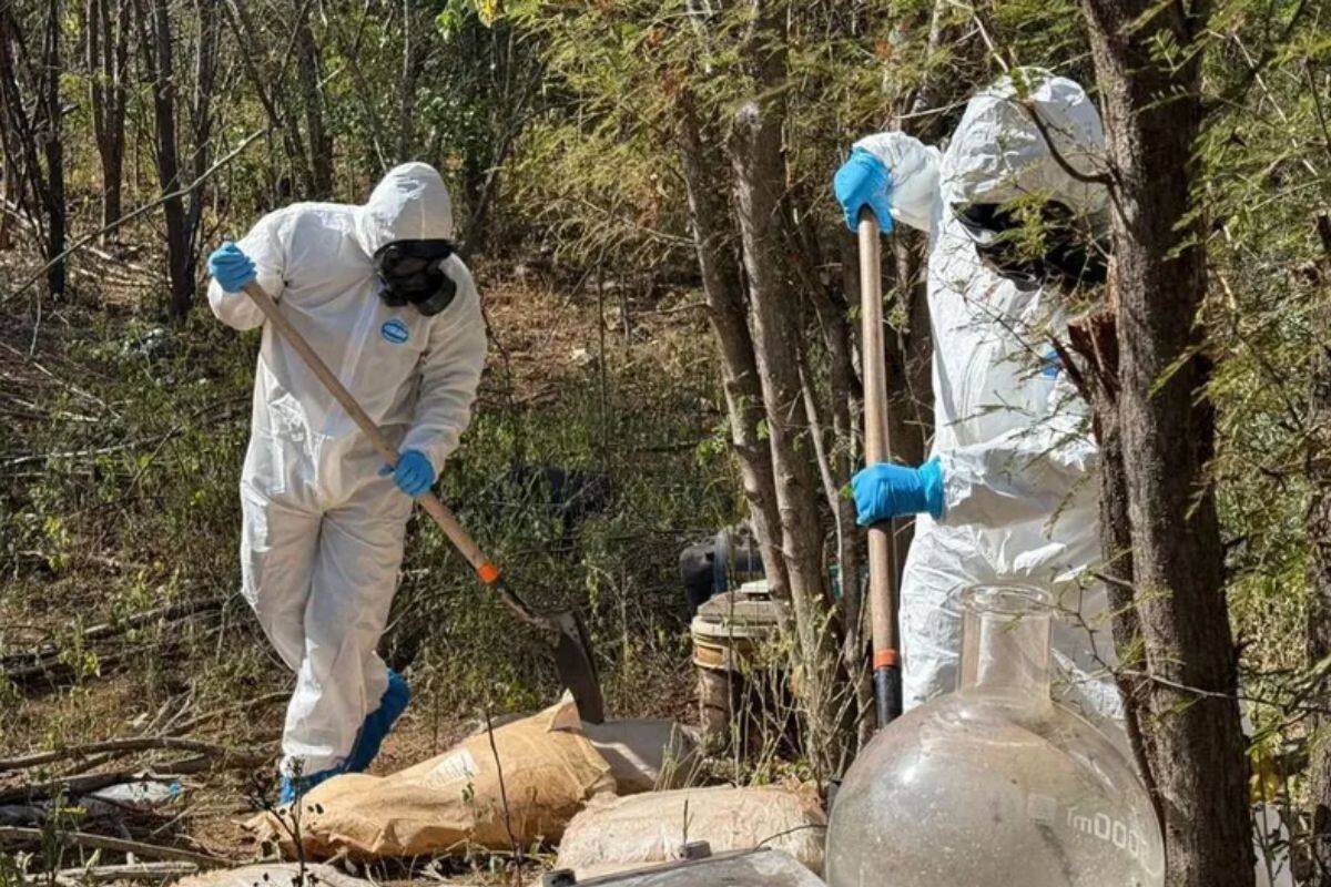 Desmantelan laboratorio clandestino de metanfetamina en Sinaloa; hay cuatro detenidos